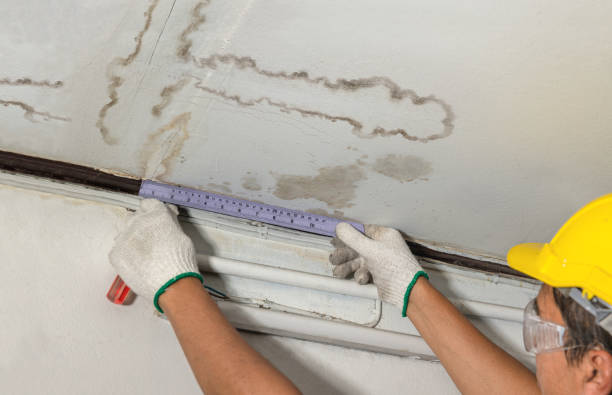 Reliable Water Damage Repair contractor in Waverly, MI by Hirex Water Damage